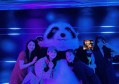 推广员招聘信息文案模板（招募推广大使：创意招聘信息文案框架）